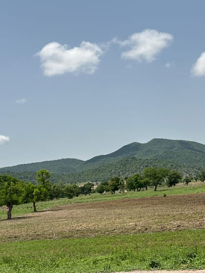 The image depicts a rural landscape in Atawa, Nigeria, featuring rolling green hills covered in dense vegetation, likely a forest or savanna. In the foreground, a partially plowed field shows brown earth interspersed with patches of green grass. Several trees with lush green foliage are scattered across the midground, some appearing as solitary specimens and others in small clusters. The sky above is a clear, pale blue with a few wispy white clouds. The overall impression is one of a tranquil, natural environment.
