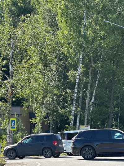 This is a daytime, eye-level outdoor shot. In the foreground, a black SUV is parked on a paved road, facing right. To its left, a dark grey SUV is also parked, facing right. A pedestrian crossing sign with a yellow background and a blue diamond shape containing a white pedestrian icon is located to the left of the dark grey SUV. Behind the vehicles, a low-rise building with a light brown facade and dark grey trim is visible. A dense line of birch and other deciduous trees forms the background. The ground is paved with asphalt, and there is some brush and smaller trees on the left side of the frame. The scene appears to be set in a suburban or semi-rural area, possibly near a park or a residential zone, with the pedestrian crossing sign suggesting a public thoroughfare. The lighting indicates a sunny day with shadows cast by the trees. No people are clearly visible, though there might be a partial view of a person inside the black SUV. The location is specified as Dubrovitsy, Russia.