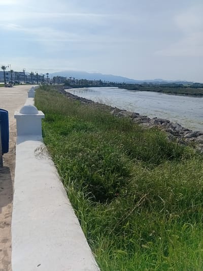 This image captures a serene waterside scene, likely a promenade or embankment in Martil, Morocco. The landscape is dominated by a body of water on the left, possibly a river or a coastal inlet, with a rugged, rocky bank separating it from the land. Beyond the water, a hazy panorama of distant mountains or hills stretches across the horizon, with the faint outline of a town or city, characterized by various buildings and structures, nestled at their base. A few palm trees are discernible within this distant cityscape.
In the foreground on the right, a lush expanse of vibrant green grass thrives along the embankment, some stalks appearing tall and wild. This verdant area is bordered by a low, light-colored concrete barrier or balustrade, featuring decorative rounded elements at regular intervals. Parallel to this barrier runs a paved walkway or promenade, also constructed from light-colored concrete. A dark blue object, possibly a public waste bin, is partially visible in the bottom right corner, situated next to the path.
The sky above is a pale, clear blue, with only a few subtle cloud streaks, suggesting fair weather. The lighting indicates bright daylight, possibly morning or late afternoon, casting an even glow over the scene without harsh shadows. No specific activity is taking place, and no people are visible, contributing to a tranquil and peaceful atmosphere. There is no discernible text within the image.