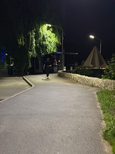 An outdoor, nighttime scene shows a person running on a paved pathway. The pathway is bordered by a low stone wall on the right, with grass and foliage beyond. On the left, a large, leafy tree is illuminated by a streetlight. In the background, a conical structure is visible, along with some buildings and more trees. The overall impression is that of a park or recreational area. The location is Turgoyak, Russia.