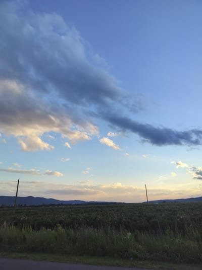 The image depicts a rural landscape at dusk. In the foreground, tall green grasses and wildflowers line a paved road. Beyond the grasses is a vast field of dark green plants, possibly a crop, with scattered pink blossoms visible throughout. Two thin, dark poles stand in the field, one towards the left and another further to the right. In the middle ground, rolling hills form a dark silhouette against the horizon. The sky above is a gradient of blue, transitioning from a deep azure at the top to a lighter, pale blue near the horizon. Wispy clouds, illuminated by the setting sun, streak across the sky in shades of grey, white, and pale yellow. The scene is peaceful and natural, with no people or animals present. The location is identified as Manolovo, Bulgaria.