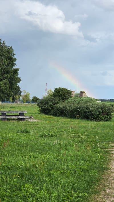 The image captures an outdoor scene with a bright sky partially obscured by clouds. A rainbow arches across the sky, originating from the left side and extending towards the right. In the foreground, a grassy field is dotted with various plants and flowers. A wooden picnic table is situated on the left side of the field. Behind the table, a dark object, possibly a dog, is lying down. In the middle ground, a large, dense green bush dominates the landscape. Further in the background, there is a structure made of stone, topped with a white cross. To the left of this structure, a tall, red and white tower stands. Trees are visible in the background on both the left and right sides of the image, and a body of water can be seen in the distance on the left. The overall impression is a natural landscape with man-made elements. This scene appears to be located near the coast, given the open sky and the presence of water. The location is identified as Dzintari, Latvia.