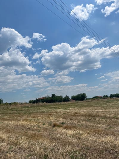 This is a photograph of a rural landscape in Razdelna, Bulgaria, on a sunny day with scattered clouds. The image is oriented vertically, with the sky occupying the left two-thirds and a field of dry grass on the right. Several black power lines stretch diagonally across the sky from the upper left corner towards the center of the frame. The sky is a vibrant blue, punctuated by fluffy white cumulus clouds.
The right side of the image features a harvested field of golden-brown grass, with rows indicating where crops were once present. Along the horizon, a line of green trees forms a border between the field and the sky. Peeking through the trees are hints of buildings, suggesting a nearby village or settlement. One such building, a terracotta-roofed structure, is visible towards the middle-right of the frame, partially obscured by foliage. The overall impression is one of a warm, bright summer day in the Bulgarian countryside, likely during the late afternoon given the lighting. No people or specific activities are visible, emphasizing the natural and somewhat isolated setting. There is no visible text in the image.