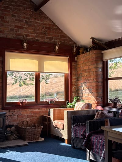The scene depicts the interior of a sunlit room in Wold Newton, United Kingdom, overlooking a harvested field. The room features exposed red brick walls and a sloped white ceiling. A large, dark-framed window unit on the left wall and a smaller one on the right display beige roller blinds partially raised. Through the windows, a light brown cultivated field and green tree foliage are visible under bright sunlight, which casts distinct shadows across the blue speckled carpeted floor.
No individuals are present.
Furniture includes a light-colored wicker armchair with a brown cushion, positioned towards the center-right, and two darker woven armchairs to its right, each draped with a red and black patterned throw. A wooden table is partially visible on the far right. In the bottom left, a dark wood-burning stove rests on a grey hearth, with logs stacked beside it. A large, empty wicker basket sits on the floor between the stove and the light-colored armchair.
Decorative elements include three sets of animal skull and antler mounts affixed to the dark wooden trim above the main window on the left. On a brick ledge in the upper right corner, a taxidermied pheasant is perched alongside other small decorative items. Potted plants with reddish-purple leaves are positioned on the sills of both windows, and a larger green plant sits on the floor near the wicker armchair.