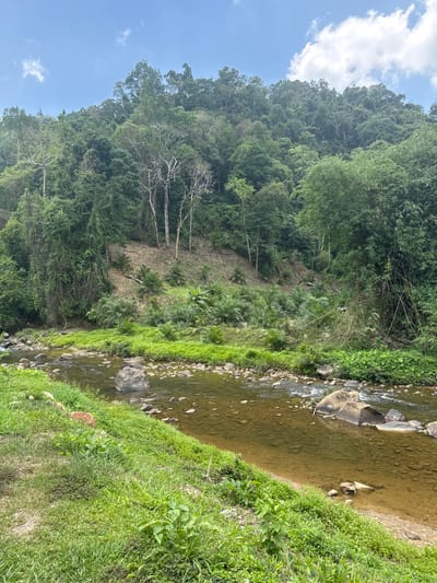 The image depicts a river scene in Tambon Song Phraek, Thailand. A river flows through the frame, with clear, shallow water revealing rocks on the riverbed. Lush green vegetation covers the riverbank on the right side. On the left, a dense forest slopes upwards. Evidence of deforestation is visible, with a patch of cleared land and several bare trees. The sky is visible in the upper left corner, showing a blue sky with scattered clouds.