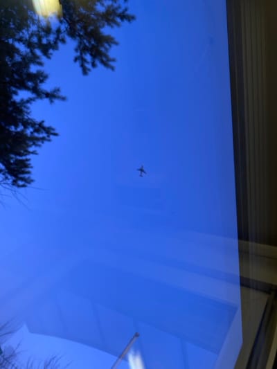 The image presents a daytime exterior scene, observed through a window in the city of Марфино, Russia. The dominant feature is a clear, deep blue sky. A single, small, dark-colored airplane is visible in the mid-distance, positioned in the lower-middle quadrant of the sky, appearing to fly horizontally. Silhouetted branches of a coniferous tree extend into the upper-left and mid-left sections of the frame. The right edge of the image is defined by a vertical window frame. The lower portion of the image contains indistinct reflections on the window surface, including blurred light-colored streaks and abstract shapes. No individuals are depicted.