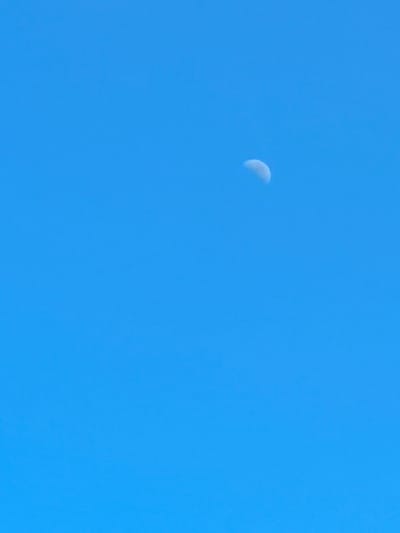 The image is a medium shot of a clear blue sky with a crescent moon visible in the upper right quadrant. The moon is a pale white and appears to be lit from the right. The sky is a uniform bright blue with no clouds. The overall impression is one of a bright, clear day. The image does not contain any information that would allow for a description of the location in Terekty, Kazakhstan.