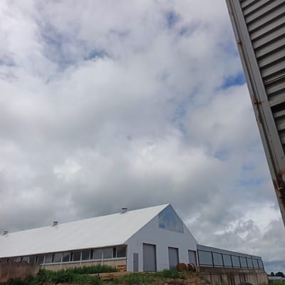 The image depicts a large, white, tent-like structure, likely a barn or agricultural building, under a cloudy sky. The building has a long, sloped roof and a front facade with several large garage doors. Large windows run along the side of the building, and a triangular section at the front appears to be made of a translucent material. Two circular hay bales are visible near the front of the building, and green vegetation grows around the base. To the right of the frame, a portion of a corrugated metal structure, possibly a shipping container or part of another building, is visible. The sky is filled with dramatic, grey and white clouds, suggesting overcast or possibly stormy weather. The overall scene conveys a sense of rural or agricultural setting, possibly under construction or in use for farming. No people are visible in the image. There is no visible text.