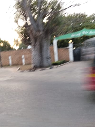 This motion-blurred image depicts an outdoor scene in Gombato Bongwe ward, Kenya, likely captured from a moving vehicle. The foreground consists of a light grey asphalt road surface exhibiting distinct horizontal streaks indicative of motion. To the left-center, a prominent large tree with a thick, grey trunk and blurred branches stands adjacent to a paved curb. To the right of the tree, an entrance structure is visible, featuring two white vertical pillars supporting a horizontal green archway or sign with indistinct blurred white text. A dark gate is situated between the pillars, flanked by visible light fixtures. A light brown fence or wall with integrated vertical white posts extends horizontally behind the tree and to the left of the entrance. Dense green foliage forms the background. On the far right, a highly motion-blurred object, predominantly red with a horizontal yellow stripe, suggests a rapidly passing vehicle. No individuals or specific interactions are discernible.