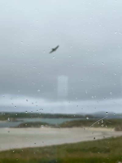 A bird is flying in the sky, viewed through a window with raindrops on it. The background shows a landscape with water and grassy areas, suggesting a coastal or rural setting. The sky is overcast and the lighting is dim, indicating a cloudy or rainy day. The overall scene is muted in color, with the focus on the bird and the rain droplets on the window pane. The specific location is not discernible from the image.