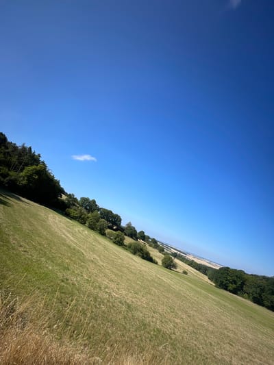 The image depicts a gently sloping, sunlit grassy field with dry hay in the foreground. A line of trees borders the field on the left and extends into the distance. The sky is a clear, vibrant blue with a single small white cloud. In the far distance, the landscape appears to be agricultural fields and trees, with a hint of structures that could be buildings or wind turbines. The tilt of the camera suggests it was taken from a higher vantage point, looking down and across the terrain. The scene conveys a sense of rural tranquility.