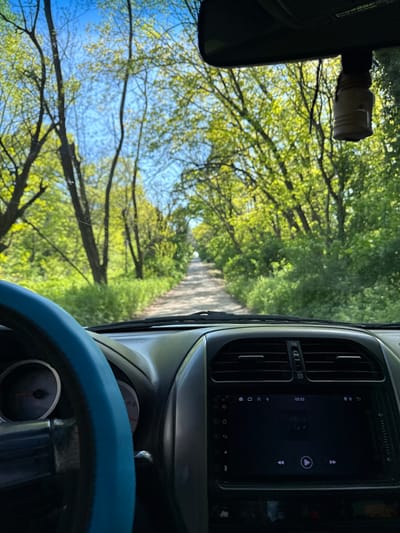 The image shows a view from inside a vehicle, looking out through the windshield. A narrow, unpaved road stretches forward, framed by green trees. The sky is visible through the canopy, with a mix of blue and leafy green. The dashboard of the vehicle is visible, including a modern infotainment system, air vents, and part of the steering wheel with a blue cover. The rearview mirror is visible in the upper left corner. There are no people visible in the image. The location is Poroino, Bulgaria.