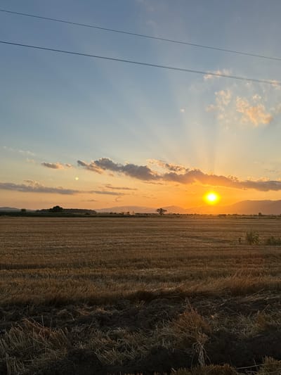 The image depicts a sunset over a harvested field in the vicinity of Blatets, Bulgaria. The sun, a bright orange orb, is positioned in the center of the frame, casting long rays of light through scattered clouds. The sky transitions from a pale blue near the top to a warm orange and yellow hue near the horizon. In the distance, rolling hills and mountains are silhouetted against the colorful sky. The foreground is dominated by a field of dry, stubble-like crop residue, indicating it has recently been harvested. There are no people or animals visible in the scene. Electrical wires stretch across the upper portion of the frame, suggesting the proximity of infrastructure. The overall impression is one of a rural landscape bathed in the warm glow of the setting sun.