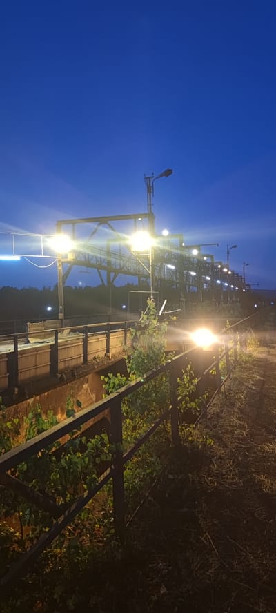 The image depicts an industrial area at dusk or night. The sky is a deep blue, transitioning to a lighter shade near the horizon. Several tall, illuminated structures with metal frameworks and lights are visible. These appear to be part of an elevated walkway or conveyor system. In the foreground, a dark metal railing runs along a path. Green foliage is growing in and around the railing, suggesting the presence of vegetation in the immediate vicinity. The ground appears to be unpaved, covered in dirt and debris, with some scattered dry grass or straw. The overall impression is one of an operational, possibly mining or industrial processing, site illuminated by artificial lights in low-light conditions. This location is identified as being in Salzgitter, Germany.