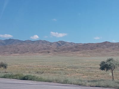 The image depicts a rural landscape near Bereke, Kazakhstan, under a clear blue sky with sparse white clouds. In the foreground, a paved road runs horizontally across the bottom of the frame. To the left and right of the road, dry grass and some vegetation are visible. A small, sparse tree stands on the right side of the image, and another bare tree with some foliage is present on the left. In the midground, a vast expanse of dry, grassy plains stretches out, with a few faint tracks or lines visible in the grass, possibly indicating irrigation or natural patterns. In the background, a range of undulating, barren mountains dominates the horizon. The mountains are covered in a dusty, brown hue, with visible texture and shadows suggesting a dry, arid environment. The overall scene is one of a vast, open, and undeveloped landscape.