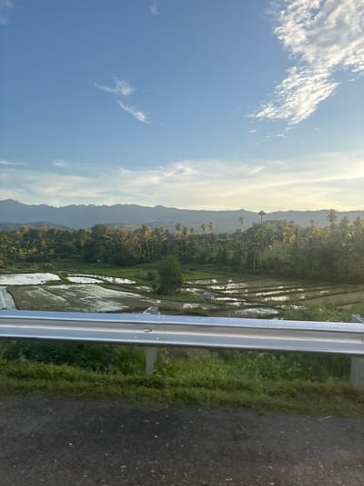 The image shows a view of flooded rice paddies, possibly in Baksukon, Indonesia, as observed from a roadside. The paddies reflect the sky, creating a mirrored effect. Lush greenery and palm trees are visible amongst the fields, with mountains in the background. A silver guardrail separates the view from the edge of the road, which is paved and visible in the foreground, along with the grassy verge. The sky above is blue with scattered white clouds. The lighting indicates it might be early morning or late afternoon. No people are visible in the scene.