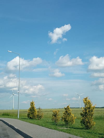 An outdoor, eye-level, medium shot captures a paved walkway bordering a grassy area under a bright blue sky with scattered white clouds. A tall, silver lamppost stands prominently on the left, with its light fixture extending horizontally. In the background, a vast field of green crops stretches towards the horizon. Several white wind turbines are visible in the distance, with one closer on the left and another further to the right, their blades appearing stationary. A line of small, cone-shaped evergreen trees, some with yellowish foliage, are planted along the edge of the walkway. The scene appears to be in a rural or semi-rural setting, likely within the territory of Кадзінскі сельскі Савет, Belarus.