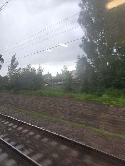 This is a blurry, horizontally oriented photo taken from a moving train. The perspective is from inside the train, looking out a window. The main subjects are the train tracks in the foreground, blurred due to motion. To the left of the tracks is a green, wooded area with some houses visible among the trees. Overhead, there are power lines with two white rectangular insulators. The sky is overcast and gray. The overall impression is that of a cloudy day in a rural or semi-rural setting, likely in Russia, given the location context. The blurriness suggests the photo was taken while the train was in motion. There is no visible text in the image.
