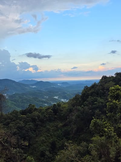 This is a landscape photograph taken from a high vantage point overlooking a vast, forested mountain range at dusk. The sky is a gradient of soft blues and pale yellows, with scattered clouds tinged with pink and orange from the setting sun. In the foreground, a dense, dark green forest covers the slopes, with the tops of trees reaching towards the viewer. Beyond this, a series of rolling mountains recede into the distance, their contours softened by the atmospheric haze and distance. Patches of mist cling to the valleys between the mountains, adding a sense of depth and mystery. The overall impression is one of serene natural beauty. The image location is Nao Sẻ, Vietnam. There are no people or specific man-made objects depicted in the image.