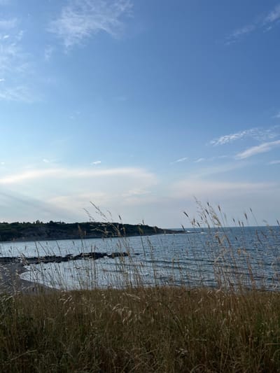 This is a vertical landscape photograph taken outdoors, likely during daylight hours with clear to partly cloudy skies. The scene captures a coastal view with the sea occupying the right half of the frame and the sky the left. The water is a deep blue, reflecting the sky and appearing slightly rippled, suggesting a gentle breeze.
The foreground, on the far right, is dominated by dry, tall grasses that are swaying, indicating wind. These grasses create a textured barrier, partially obscuring the view of the sea and the coastline. A rocky cliff face runs along the edge of the water, covered in green vegetation. The cliff drops down to a narrow strip of beach.
The sky is a bright, clear blue with wispy white clouds scattered across it. The lighting suggests it is likely daytime, possibly late afternoon given the soft quality of light.
There are no people or man-made objects clearly visible in the frame, contributing to a sense of natural serenity and remoteness. The overall mood is peaceful and evokes the feeling of a calm summer day by the sea. The image is oriented vertically, with the horizon line running from the bottom left to the top right of the frame.