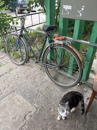 In Tutaev, Russia, a dark green, older model SUV is parked on a paved road adjacent to a sidewalk made of concrete slabs and gravel. To the right of the road and sidewalk is a fence constructed of green wooden posts and metal railings. A dark blue bicycle is leaning against the metal railing, secured with rope to the handlebars. The bicycle has a metal rack on the back holding an orange plastic bag and some rope. A tabby and white cat with its tongue sticking out is sitting on the concrete sidewalk in front of the bicycle and fence. A wooden chair leg is visible to the right of the cat. Overgrown green foliage is present behind the fence and along the side of the road. A sign with Cyrillic writing and peeling stickers is attached to the green fence. The lighting suggests it is daytime.