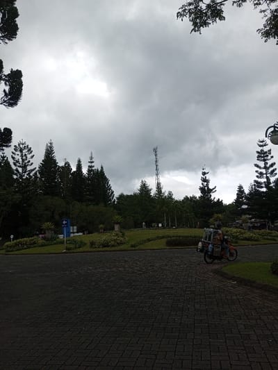 A gloomy day casts a somber mood over a paved area bordered by lush greenery, tall pine trees, and a communication tower. A lone orange motorbike, seemingly loaded with goods, pauses on the pavement, its rider obscured. The overcast sky dominates the scene, emphasizing the dark tones of the paved area and the deep green of the surrounding vegetation. A street lamp peeks into the frame from the right, while branches frame the top edges.