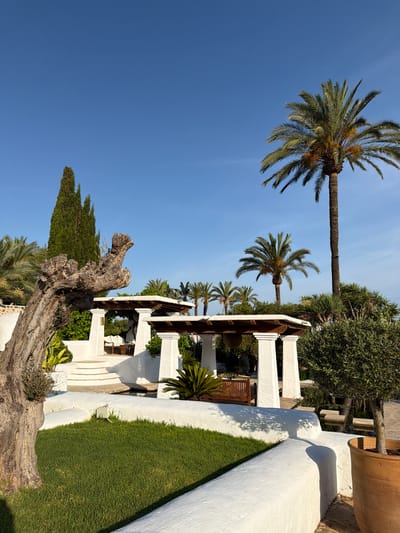 The image depicts a bright, sunny day in Santa Eulària des Riu, Spain. The scene is an outdoor area with lush greenery and architectural elements. In the foreground, a large, gnarled tree trunk is prominently featured on the left, casting a shadow on the bright green grass. White, stuccoed walls with rounded edges delineate the landscaping.
Behind the foreground, a white pergola with wooden beams supported by thick white columns provides shade. A wooden bench is visible beneath this structure. Steps lead up to another white structure, possibly part of the same building complex, with more white columns and a wooden roof.
Several palm trees are scattered throughout the scene, with one tall, mature palm tree dominating the right side of the image. Smaller palm trees and other dense green foliage are visible, contributing to the tropical atmosphere. In the distance, tall, slender cypress trees stand against a clear blue sky. The overall impression is one of a well-maintained, serene outdoor space, likely a garden or courtyard associated with a resort or private residence in a warm climate. There are no people visible in the image.