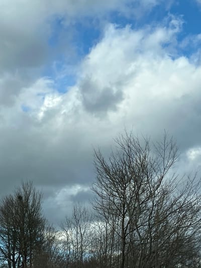 The image presents an outdoor natural scene, likely situated in the vicinity of Bitburg, Germany. The upper two-thirds of the frame are occupied by an overcast sky interspersed with clear blue patches. Clouds vary in density and color, ranging from bright white to dark grey, indicating mixed weather conditions. The bottom third of the frame features the upper canopy of several deciduous trees, completely devoid of leaves, suggesting a season of late autumn, winter, or early spring. The branches are thin and intricate, extending upwards against the sky. A dark, spherical object, consistent with a bird's nest, is visible within the upper branches of a tree on the left side of the composition. No individuals, animals (other than the implied presence related to the nest), or man-made structures are visible. The scene is static, depicting an environment without active subjects or interactions.
