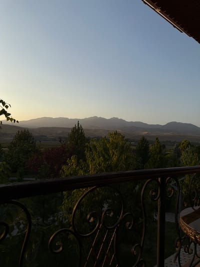 The image shows a view of a landscape from a balcony in Karankultugay, Uzbekistan. The foreground features a dark-colored metal railing with decorative scrollwork. Beyond the railing, a lush green and red-leafed garden is visible, with various trees and foliage. In the middle ground, there appears to be a collection of buildings and agricultural fields, possibly vineyards, stretching towards the horizon. The background is dominated by rolling hills and distant mountains, silhouetted against a pale, hazy sky that suggests either early morning or late evening light. The overall impression is one of a serene, rural or semi-rural setting.