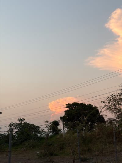 The photograph is a slightly tilted landscape shot under a pastel sky, likely at dawn or dusk. The scene unfolds in Cuautla, Mexico, as suggested by context clues. In the upper left, wispy clouds catch the light, glowing with a soft orange hue. Parallel power lines stretch across the frame, intersecting the sky.

On the right side of the photo, the ground is visible, featuring vegetation including trees and bushes. There is a glimpse of a dirt path along the ground. No people are seen in the photo. The overall mood is serene, capturing the tranquil moment of changing light in Cuautla.