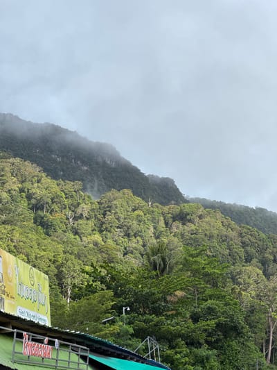 In Tambon Wang Prachan, Thailand, a lush, verdant mountainside dominates the frame. Dense foliage, a tapestry of greens, carpets the slopes, with the upper reaches partially obscured by wisps of mist or low-lying clouds. The sky above is overcast, casting a diffused light over the scene. In the lower left quadrant, a bright yellow sign with Thai script and the words "Fried Chicken by Ameena" is visible. Below this, a green-roofed structure, possibly a shop or restaurant, with a metal railing in front, suggests a roadside establishment at the base of the mountain. The overall impression is one of natural beauty intertwined with a hint of local commerce.