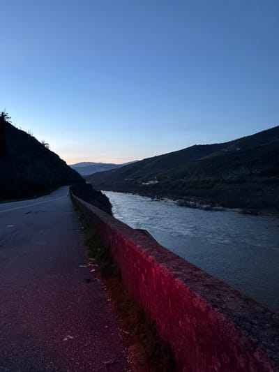 The image displays a twilight scene along a riverside road in the Douro Valley, near Lamego, Portugal. An empty, asphalt road occupies the left portion of the foreground, curving gently left as it extends into the distance. A concrete barrier wall, approximately one meter in height, runs parallel to the road on its right side, separating it from the river. The lower half of this wall exhibits a distinct red illumination. Scattered litter, including white and red debris, is visible on the asphalt at the base of the wall. To the right of the wall, a wide river flows, its surface showing numerous ripples and reflections. The river and road are flanked by steep, dark, tree-covered hillsides. On the distant right hillside, multiple clusters of faint lights indicate human structures. The sky above is a gradient from deep blue overhead to a lighter, paler blue near the horizon, characteristic of dusk or dawn. Several small, dark avian silhouettes are visible against the sky. No individuals are present, and no actions or interactions are depicted.