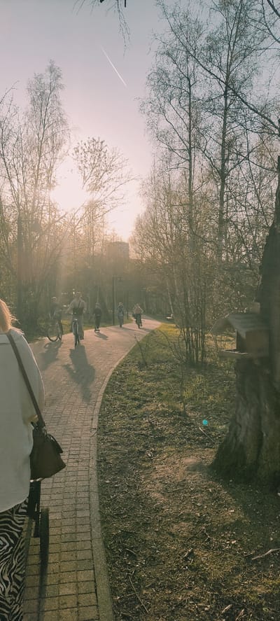 The image captures a scene along a park pathway in Grebnevo, Russia. The pathway is paved with rectangular stones, curving through a park setting. Several individuals are present, some on bicycles, moving along the path. The time of day appears to be late afternoon, with the sun low in the sky, creating a hazy, golden light. Leafless trees line the path, their branches reaching towards the sky. A contrail is visible in the sky above the trees. The right side of the path is bordered by a grassy area. The perspective is from a low angle, possibly from someone sitting or reclining. Part of a person wearing a white top and a zebra-striped garment is visible in the foreground.