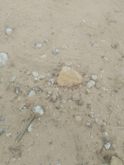 A close-up, high-angle shot shows a sandy, uneven surface dotted with numerous small stones and pebbles of varying colors, primarily beige, grey, and white. A larger, light brown, irregular-shaped stone is prominently positioned slightly left of the center. Several thin, dry twigs are scattered across the ground. The overall texture of the environment is gritty and dry. The image appears to be taken outdoors, likely in a location with dry soil and sparse vegetation, consistent with an arid or semi-arid environment. No people or animals are visible. The scene depicts a natural ground surface.