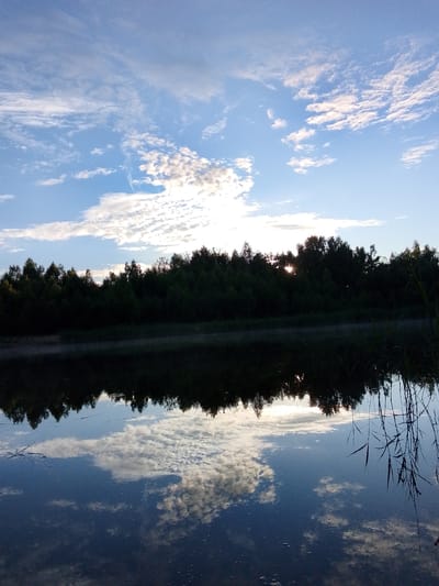 The image depicts a serene natural scene of a wide body of water reflecting a cloudy blue sky and a dense line of trees along the opposite bank. The sun is low in the sky, peeking through the trees, suggesting either sunrise or sunset. Wispy white clouds are scattered across the sky, some catching the sunlight and appearing brighter. The water's surface is calm, creating a near-perfect mirror image of the sky and the treeline.

Notable details include the faint mist rising from the water's edge in the foreground, adding to the tranquil atmosphere. Tall reeds or grasses are visible along the right bank, their reflections also captured in the water. The overall mood of the image is peaceful and contemplative, evoking a sense of natural beauty. The location context provided is Снопок Новый, Russia. There is no visible text in the image.