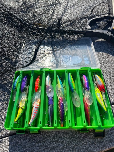 The image shows a bright green fishing tackle box filled with an assortment of colorful fishing lures. The tackle box is open, revealing multiple compartments, each holding several lures. The lures vary in color and design, featuring shades of red, yellow, blue, purple, and green, with some having reflective or iridescent finishes. Most of the lures are clearly designed to mimic fish or other aquatic prey.
Beside the tackle box, a black fishing net is visible, partially covering a clear plastic container that appears to be another storage item. The background is a textured, grey surface, likely the deck of a boat. Sunlight is casting strong shadows, suggesting it is a sunny day, possibly late morning or early afternoon. The scene appears to be set outdoors, likely on the water, given the fishing gear and the presence of a boat deck.
There is some visible text on the lures, including "LureMax" on at least two of them. Another lure has text that is partially obscured but appears to include "JAPAN." The overall impression is one of preparation for or a break during a fishing trip.