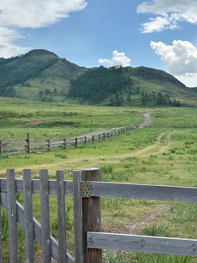 A wooden gate with vertical slats stands in the foreground, partially obscuring a rural landscape. Behind the gate, a weathered wooden fence runs horizontally across the frame. Beyond the fence, a dirt road winds through a lush green meadow, leading towards a tree-covered mountain range. The mountains are a vibrant green, with patches of rocky grey visible on their slopes. The sky is a bright blue, dotted with fluffy white clouds. The scene is set in Anchyl-Chon, Russia, a location known for its natural beauty and open spaces.