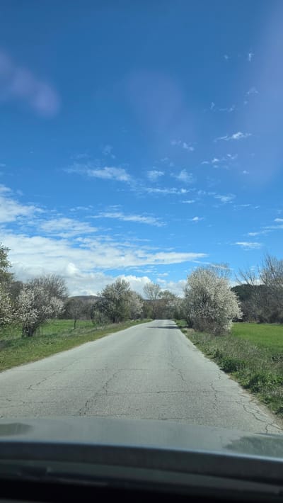 A road stretches into the distance, flanked by trees in bloom and a vibrant green field. The sky overhead is a bright blue, dotted with white clouds. The image is taken from inside a vehicle, as evidenced by the car window visible on the right. There is no information to indicate the location is Slatino, Bulgaria.