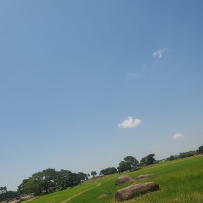 The image depicts a natural landscape under a clear blue sky with scattered white clouds. The foreground features a vibrant green field, possibly rice paddies, with subtle textures suggesting cultivation. Several large, rounded boulders are interspersed throughout the field, some appearing to be partially embedded in the ground. A winding path is visible traversing the field.
In the midground, a line of lush green trees of various sizes creates a natural border. Some of these trees are quite large with expansive canopies. The terrain appears to be sloping upwards towards the horizon.
The background consists of more trees and vegetation, with hints of what might be distant structures, suggesting the presence of a rural settlement. The overall impression is one of a peaceful, rural environment. The location is described as Rinjim Gani, Nigeria. No people or specific actions are discernible in the image. The scene is one of natural beauty and agrarian landscape.