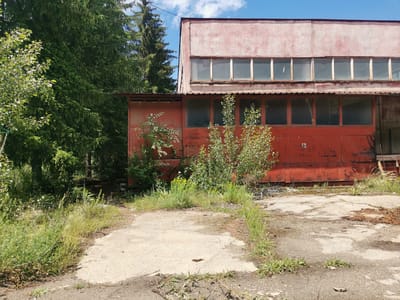 The image presents an exterior view of a dilapidated, two-story building nestled beside a dense forest of tall evergreen trees under a bright blue sky with scattered white clouds. The lower section of the building is made of rusted, dark red metal panels, featuring several dark, rectangular windows that appear either dirty or covered. Above this, a corrugated metal awning separates it from the upper story, which is a faded pinkish-red color, possibly stucco or concrete, and contains a row of clear, multi-paned windows reflecting the sunlight. Both parts of the structure show significant signs of decay, including peeling paint, rust, and general weathering.
In the foreground, the ground consists of cracked concrete and asphalt, heavily overgrown with wild green grass, weeds, and small flowering plants with yellow and white blossoms. Young deciduous trees with light green leaves are growing close to the building, particularly on the left and center. A thin black wire stretches across the sky from the left side of the frame.
The scene is devoid of people and any specific activity, conveying a sense of abandonment or disuse for what appears to be an old industrial or storage facility. The bright sunlight suggests it is daytime. Faint, unreadable white markings or graffiti are barely visible on the lower red wall of the building. The overall impression is one of neglect, with nature progressively reclaiming the man-made structure in a rural or semi-rural setting, aligning with its location in Zhivkovo, Bulgaria.