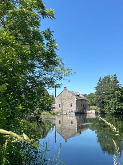 The image captures a serene waterside scene with a historic stone building reflected in the calm water. The building appears to be an old mill or a similar structure, constructed of light-colored stone with red-trimmed windows. It has a sloped roof and a chimney. A wooden railing or walkway is visible along the side of the building. Lush green trees line the background, creating a natural backdrop to the man-made structure. The foreground is filled with dense foliage and tall grasses, adding to the pastoral feel of the image. The water acts as a mirror, perfectly reflecting the building, trees, and the bright blue sky. This reflection creates a symmetrical and tranquil effect. A few delicate seed heads of grass are in focus in the foreground, adding texture. The clear blue sky suggests a sunny day. The overall mood is peaceful and idyllic. The image is oriented vertically, with the top of the frame showing the sky and the bottom showing the foliage and reflection. The scene appears to be set in a rural or natural environment, likely in the daytime given the bright lighting and clear sky. The location context provided places this scene in South Dundas, Canada, which aligns with the naturalistic setting. There is no visible text in the image.