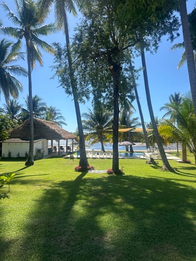 Lush green lawn stretches through a tropical scene. Tall, slender palm trees line the space. A thatched-roof structure stands at the lawn's edge. In the distance, a pool and lounge chairs suggest a resort setting. The clear blue sky provides a backdrop to the verdant landscape.