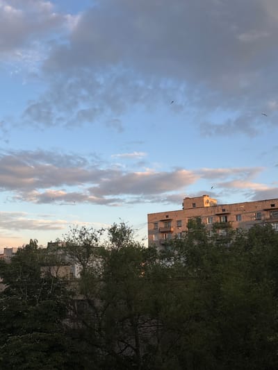 This is a vertically oriented, low-angle, outdoor photograph taken during the day, likely late afternoon or early evening given the warm light on the clouds. The scene depicts an urban environment, specifically Kadiivka, Ukraine, with a focus on a tall, brick apartment building partially obscured by lush green trees in the foreground. The building appears to be multi-story, with numerous windows and balconies visible. The trees are dense and leafy, suggesting a warm season. The sky is a prominent feature, filled with dramatic clouds, some illuminated by the setting sun with hues of pink and orange, while others are darker and more grey. Several small, dark birds are captured in flight against the sky, adding a sense of movement and life to the scene. The overall mood is peaceful, with a hint of urban realism juxtaposed with the natural beauty of the sky and foliage. No text is visible in the image.