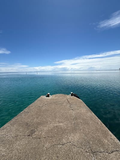 This image depicts a concrete pier extending into calm, blue-green ocean waters under a clear blue sky with scattered white clouds, located in Māhina, France. The foreground features the gray concrete surface of the pier, exhibiting visible cracks and wear. Two silver-colored mooring bollards are present at the far end of the pier, one on the left and one on the right; a dark rope or cable is coiled around the right bollard. The water surrounding the pier displays a gradient from turquoise to deeper blue, with subtle surface ripples. Several dark, slender vertical poles are visible at various distances within the water, extending above the surface. The horizon line is flat and clear, separating the ocean from the sky. No individuals, animals, or active interactions are observed. The scene is brightly illuminated by natural daylight.