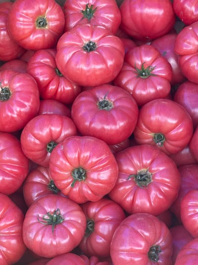 This media file is a close-up, overhead shot of a large pile of ripe, red tomatoes. The tomatoes are varied in size and shape, with some being more uniformly round and others having a more lobed or irregular form. They appear to be heirloom or beefsteak varieties due to their ribbed appearance. The skin of the tomatoes is smooth and glossy, reflecting the light and giving them a vibrant, almost iridescent sheen, with hues of pink and purple visible in the highlights. The stems and calyxes of some tomatoes are visible, appearing green and dried. The tomatoes are packed tightly together, filling the entire frame of the image. There is no visible text or any indication of people, weather, or specific time of day. The focus is solely on the abundance and texture of the fruit. Given the context of Suceava, Romania, this could depict a market stall, a farm harvest, or a home garden display of tomatoes.