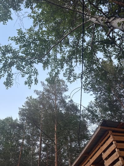 The image captures an upward perspective through a forest canopy against a clear, light blue sky. On the left, a prominent birch tree with distinctive white and dark bark rises, its branches adorned with green, broad leaves. To the right and in the background, several conifer trees with dark green, needle-like foliage are visible.
A thick, dark wire, likely electrical or communication, stretches horizontally across the mid-ground, suspended between the trees. A thinner, looped black wire hangs from it. In the upper right corner, a partial view of a wooden structure is present, constructed from planks and what appear to be wooden pallets, possibly indicating an elevated platform, treehouse, or part of a rustic shelter.
The bright, cloudless sky suggests it is daytime with good weather. The setting is an outdoor, natural environment, likely a wooded area or forest, with elements of human construction. There are no people or activities depicted. No text is visible in the image. The location is Zerendi, Kazakhstan.