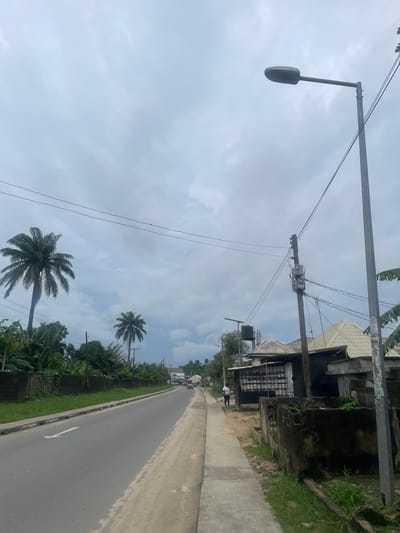 The image depicts a street scene in Elelenwo, Nigeria, under a cloudy sky. A paved road runs from the foreground into the distance, with a concrete sidewalk on the right. Along the right side of the sidewalk are several buildings, some with corrugated metal roofs, and a large concrete structure overgrown with vegetation. A utility pole with electrical equipment stands prominently on this side of the street. On the left side of the road, a dark brick wall separates the road from a grassy area and a dense cluster of trees and banana plants. Two palm trees are visible, one taller and closer to the left, and another smaller one further down the road. In the distance, several vehicles are traveling on the road, and a few figures are walking along the sidewalk. A streetlamp is visible on the right side of the road, and another, smaller light fixture is mounted on a pole further down. Power lines crisscross the sky. The overall impression is one of a typical urban or semi-urban environment in Nigeria.