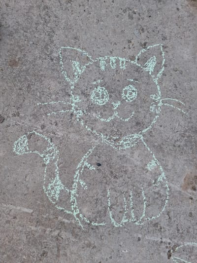 A child's chalk drawing is on a concrete surface. The drawing depicts a cartoon-like animal, possibly a pig, with a round head, circular eyes, and a snout. Adjacent to the animal is another vaguely defined form, perhaps another animal or object. The environment appears to be an outdoor, possibly urban, setting in Амзя, Russia, as indicated by the concrete surface and the context of the prompt.