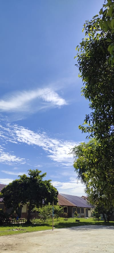 This is a vertical, eye-level, outdoor photograph taken on a sunny day in Langnibong, Indonesia. The upper half of the image is dominated by a clear blue sky with wispy white clouds scattered across it. In the foreground, to the right and left, are the leafy green branches of trees, partially obscuring the view of the background. Below the sky and trees, a low-lying building with a rusty metal roof is visible. The building appears to be a single-story structure with several windows. In front of the building is a patch of green grass and a paved or concrete area. A tall, thin pole with blue and yellow markings stands vertically in the foreground, slightly to the left of the center. The scene depicts a school or institutional building surrounded by greenery under a bright sky.