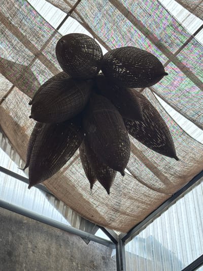 A low-angle shot depicts a cluster of woven, brown, roughly teardrop-shaped objects hanging from a ceiling in Thuận Hóa Ward, Vietnam. The objects are densely grouped together, creating a complex pattern of light and shadow. They are suspended against a backdrop of a translucent fabric ceiling with multicolored threads, and a transparent panel sectioned by a dark metal frame. A grey concrete floor is partially visible in the upper right corner, adding to the urban setting. The lighting is diffused, highlighting the textures of the woven objects and the surrounding architecture.